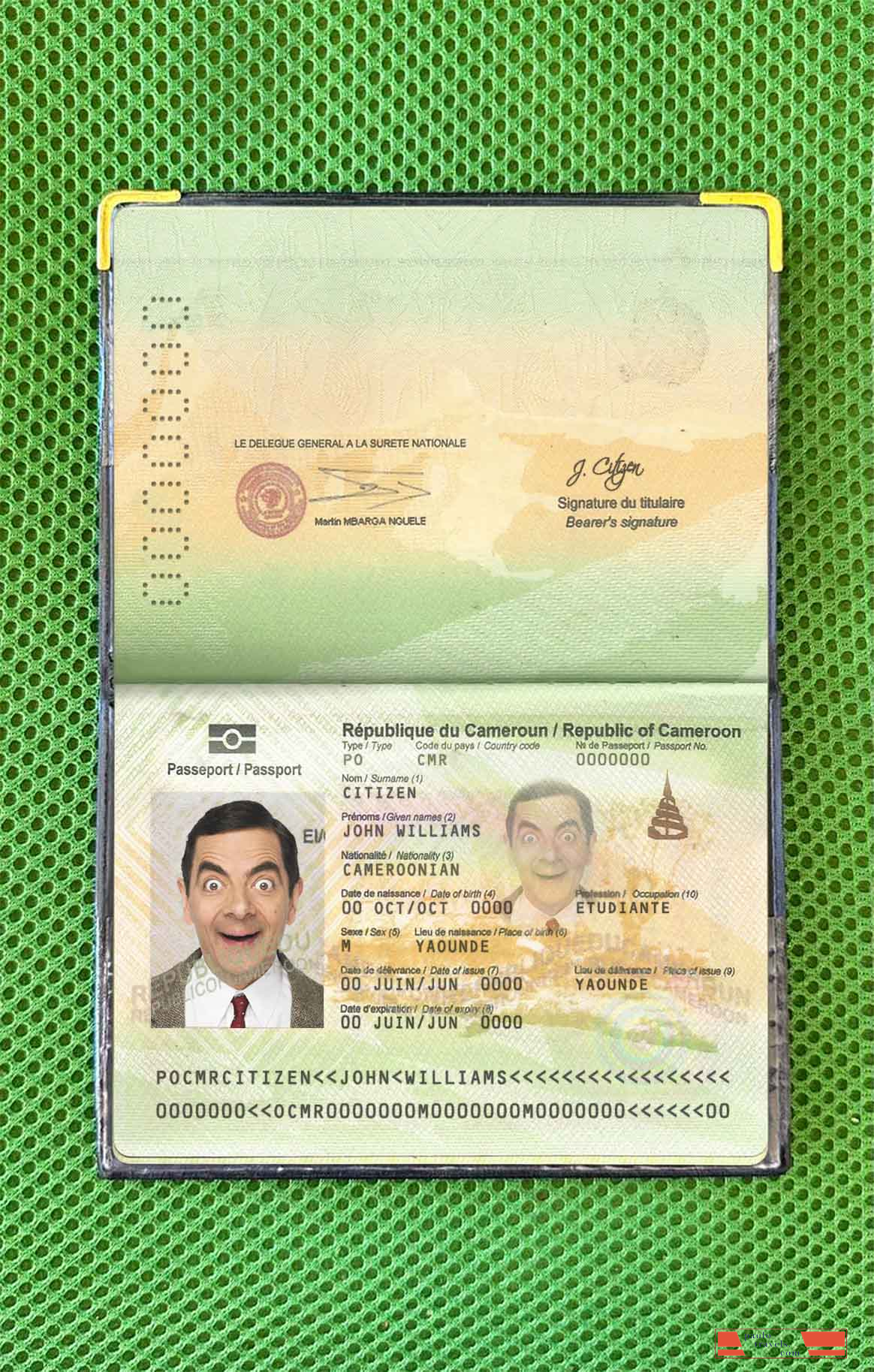 Cameroon passport photo look PSD template